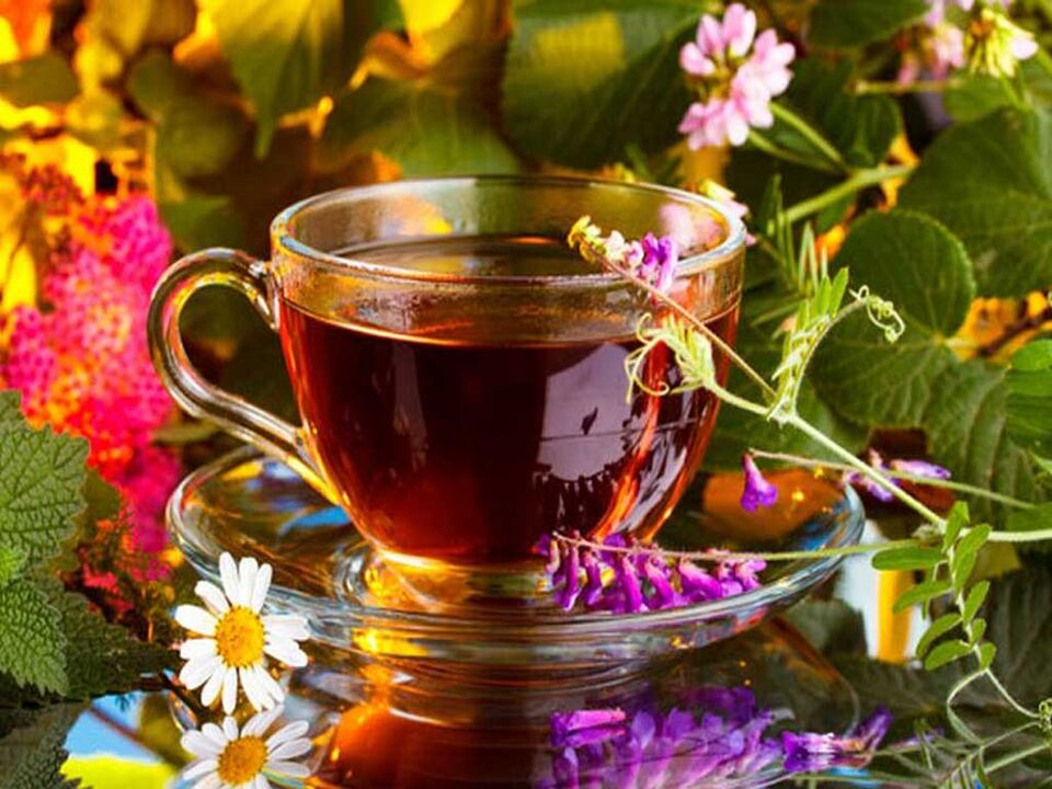 Infusiones y decocciones